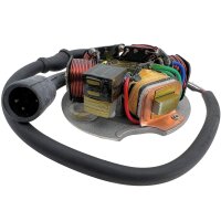 Zündankerplatte 3+3 Kabel / 5 Spulen