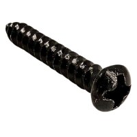 Blechschrauben Satz 10 Stück 3,9 x 25 mm Schwarz